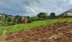 50x100ft plot of land for sale in Seeta Bajjo at 35m