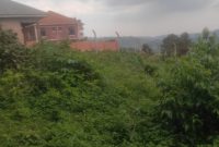 24 decimals plot of land for sale in Kitende Lumuli at 130m