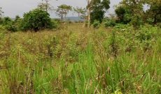 100 acres of land for sale in Kasanje at 35m per acre