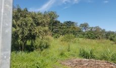 2 acres of lake view land for sale in Munyonyo at 3 billion shillings per acre