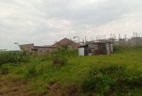 50x100ft plots of land for sale in Bukerere at 23m shillings each