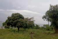 1 acre land for sale in Garuga Entebbe road at 550m