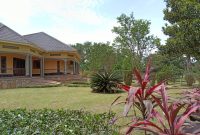 5 bedrooms country home for sale in Maya Masaka Road 3.5 acres at 800m