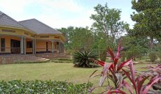5 bedrooms country home for sale in Maya Masaka Road 3.5 acres at 800m