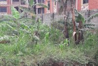 20 decimals of land for sale in Najjera Buwate at 240m