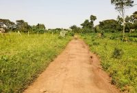 14 decimals plot of land for sale in Namugongo Nakiyanja 75m