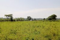 3 acres of land for sale in Bukerere Namasiga at 120m per acre