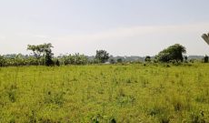 3 acres of land for sale in Bukerere Namasiga at 120m per acre