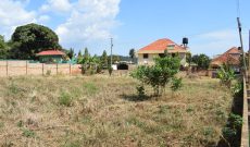 50 decimals plot of land for sale in Munyonyo Mulungu at 1.2 billion shillings