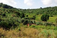 2 square miles of freehold land for sale in Hoima at 4m per acre