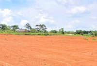 50x100ft plot of land for sale in Namugongo Sonde at 55m