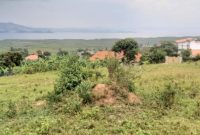 Lake view 25 decimals plot of land for sale in Namulanda at 200m