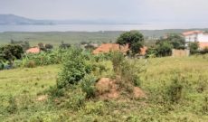 Lake view 25 decimals plot of land for sale in Namulanda at 200m