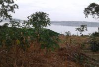 16 acres of beachfront property for sale in Kawuku Bugiri at 290m per acre