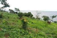 7 square miles private island for sale in Kalangala at 10m per acre