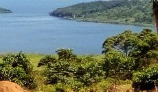 5 acres of lake view land for sale in Muvo Buikwe at 18m per acre