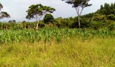 2 acres of land for sale in Kagula in Mukono off Katosi Road 45m