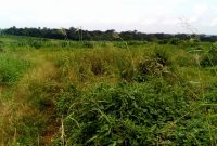 25 Acres for sale in Nagojje at 20m per acre