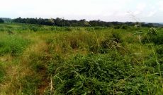 25 Acres for sale in Nagojje at 20m per acre