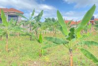 15 decimals plot of land for sale in Kira Makerere college at 150m