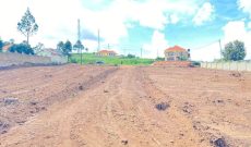50x100ft plot of land for sale in Namugongo Sonde at 75m shillings