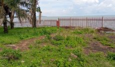 4 acres of lakefront land for sale in Entebbe town at 2m USD