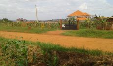 1 acre commercial land for sale in Kasenyi at 350m
