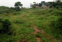 29 square miles of farmland for sale in Agago Northern Uganda at 3m per acre