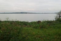 1 acre lakefront land for sale in Garuga at 650m