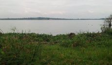1 acre lakefront land for sale in Garuga at 650m