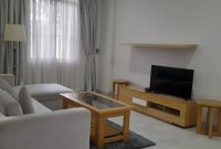 1 bedroom furnished apartment for rent in Nakasero 1,500 USD