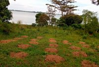 1.04 acres of lake shore land for sale in Garuga at 400m