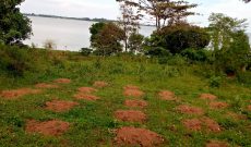 1.04 acres of lake shore land for sale in Garuga at 400m