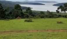 15 acres of lake shore land for sale in Nkokonjeru Mukono at 25m per acre