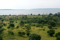 100 acres of lake shore land for sale in Kalangala at 7m per acre