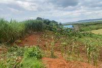 100x100ft plot of lake view land for sale in Katabi Entebbe at 190m