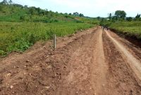 50x100ft plots for sale in Mpambire at 8.5m each
