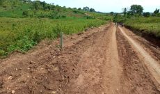 50x100ft plots for sale in Mpambire at 8.5m each