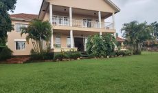 4 bedrooms house for sale in Konge Buziga 50 decimals at $400,000