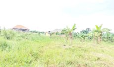 23 decimals plot of land for sale in Kira Kitukutwe at 60m