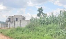 31 decimals plot of land for sale in Kyanja Komamboga at 280m