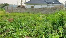 50x100ft plot of land for sale in Kasangati At 35m