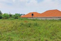 25 decimals plot of land for sale in Kira Shimoni at 250m