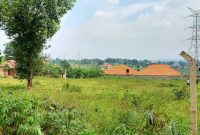 42 decimals plot of land for sale in Kira Mulawa at 350m
