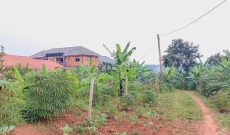 25 decimals plot of land for sale in Kira Mamerito Road at 190m
