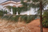 4 bedrooms house for sale in Buloba on 100x100ft at 320m