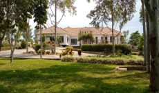 7 bedrooms country home for sale in Gobero Kakiria 14 acres at 750,000 USD