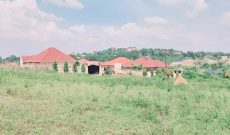 27 decimals plot of land for sale in Namugongo St. Catherine at 120m