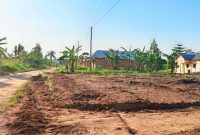 50x100ft plots of land for sale in Kiwebwa Matugga at 15m each