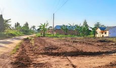 50x100ft plots of land for sale in Kiwebwa Matugga at 15m each